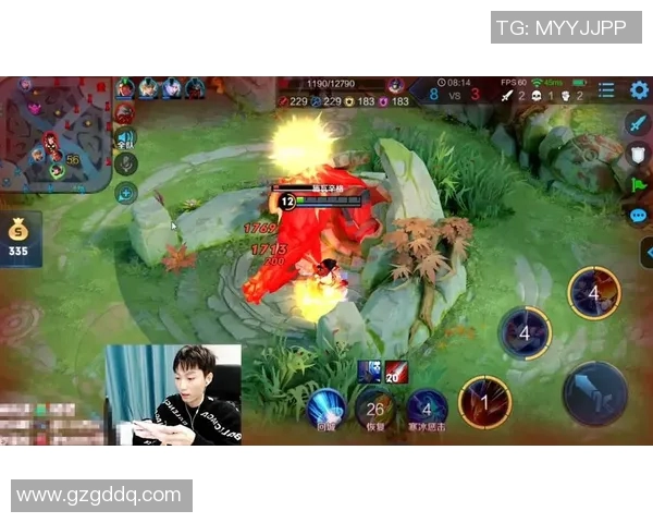 王者荣耀焦点FPX战队耐力分析与策略探讨之路实时新闻